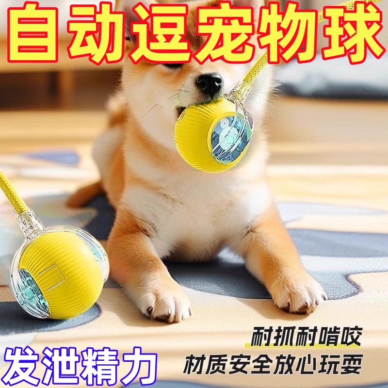 自动遛狗耐咬电动狗狗玩具球小狗玩的玩具宠物狗自嗨解闷神器逗狗