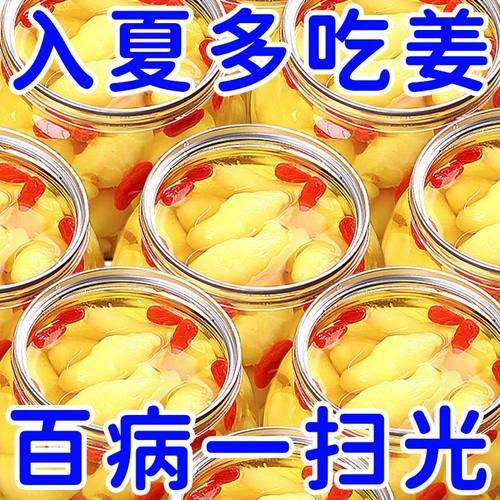 枸杞泡姜芽新鲜嫩姜芽姜牙10袋