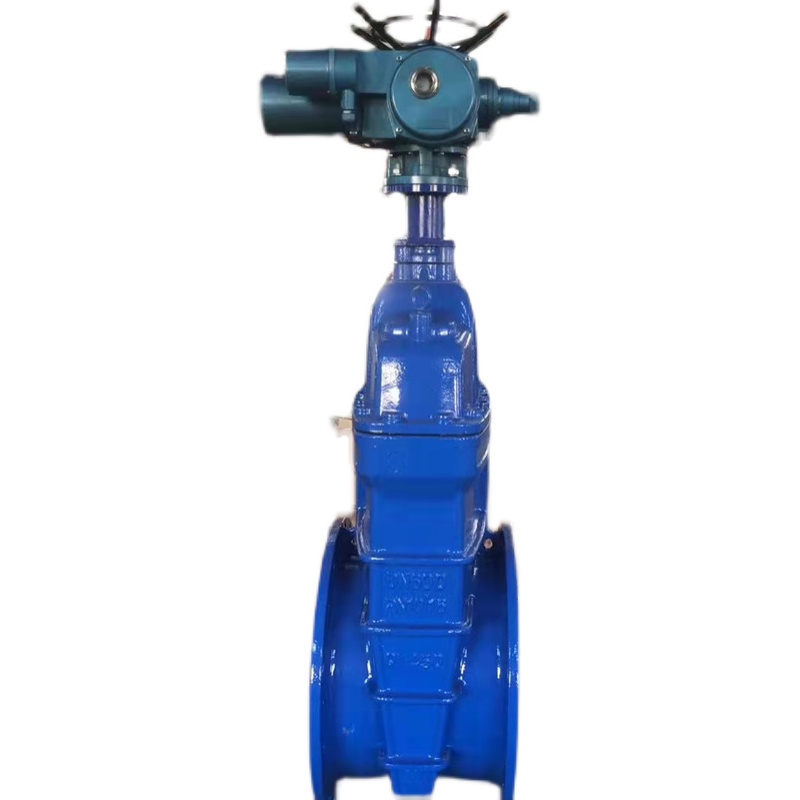 Z945X-10/16Q电动阀门市政污水软密封法兰闸阀DN200 35 400 6 800