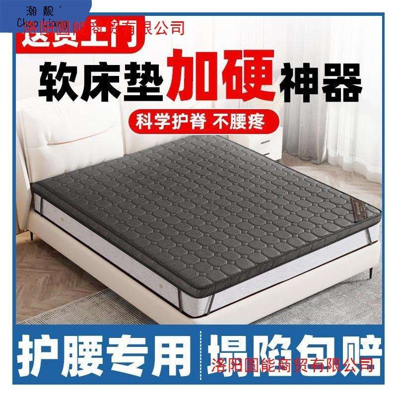 椰棕床垫硬垫软床垫加硬椰棕薄护腰脊榻榻米棕榈床垫天然床垫