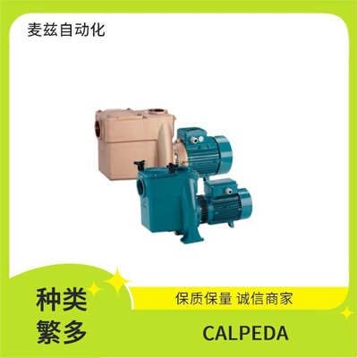 离心泵 A50-125AE 运行平稳 CALPEDA 科沛达 水泵