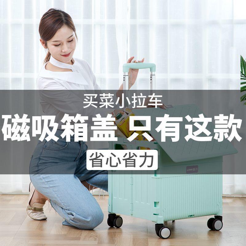 买菜小拉车折叠购物车露营野餐拉杆车拉货取快递爬楼梯小推车