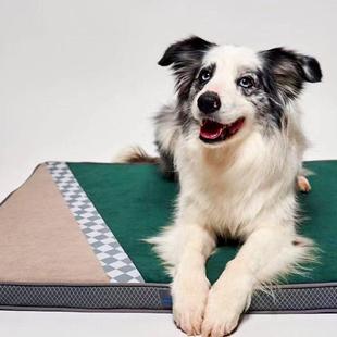 通用可拆洗耐咬防撕咬小大型犬狗床垫 GiGwi贵为狗垫子睡觉用四季