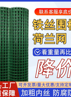 铁丝网围栏网养鸡养殖网护栏防护网钢丝网家用菜园铁网荷兰网户外