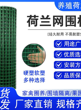 荷兰网铁丝网养殖果园围栏圈山围地隔离网养鸡防护网硬塑绿色户外