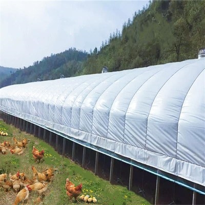 家殖大棚骨架钢管养鸡棚鸭棚x猪棚鹅棚养殖场搭建养用鸡棚鸡舍养