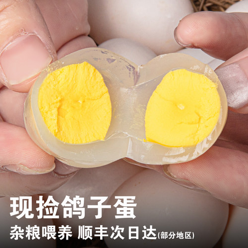 确农鸽子蛋正宗农家散养