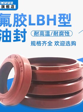 氟胶DHS/LBH防尘圈C型尘封165/180/200/204*179/194/214/218*9.5