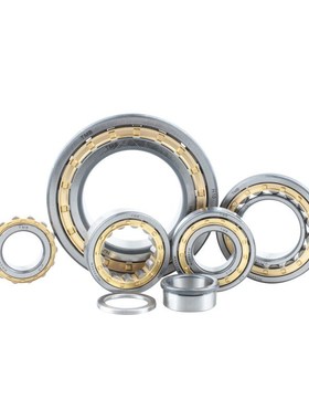 N NJ NU NUP 304 305 306 307 308 309天马短圆柱滚子轴承大全