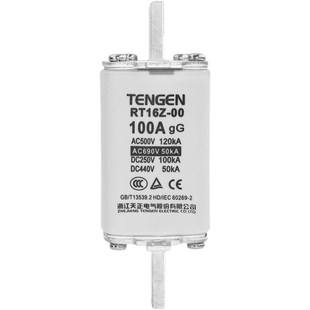 現貨速發TE天正 00熔芯陶瓷熔斷體保險絲125A6A 直流熔斷器RT16Z