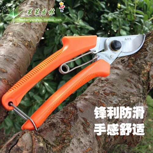 台湾澳森修枝剪刀 进口园林工具 果树剪/园艺剪/不锈钢剪刀包邮