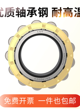 二类圆柱滚子轴承RN310 RN311 RN312 RN313 RN328