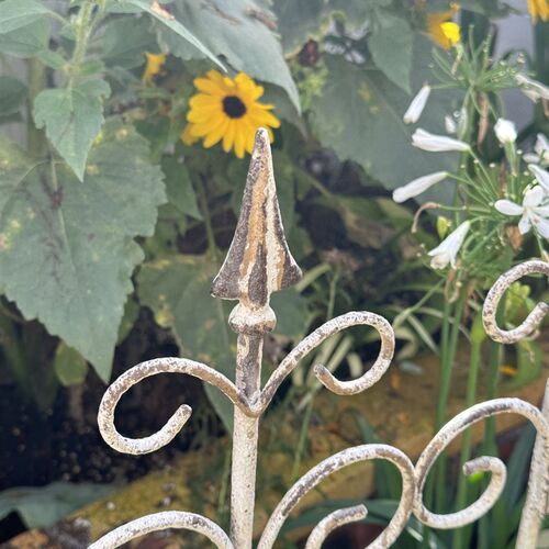 铁艺藤蔓地插花园围栏复古做旧装饰铁线莲爬藤植物牵引园艺杂货