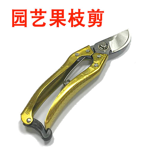 优质果枝剪 SK5精钢修枝剪家庭园艺剪树枝花枝剪剪刀工具包邮