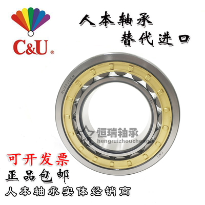 人本圆柱滚子轴承 N NJ NU NUP 2203 2204 2205 2206 2207  EM/C3