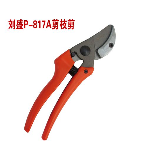 台湾刘盛原装省力果树剪园林园艺工具剪枝修枝剪花卉盆景整枝剪
