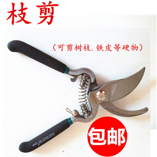粗枝剪 修枝剪 修花木园林工具 园艺剪刀果树剪子 花艺剪刀 包邮
