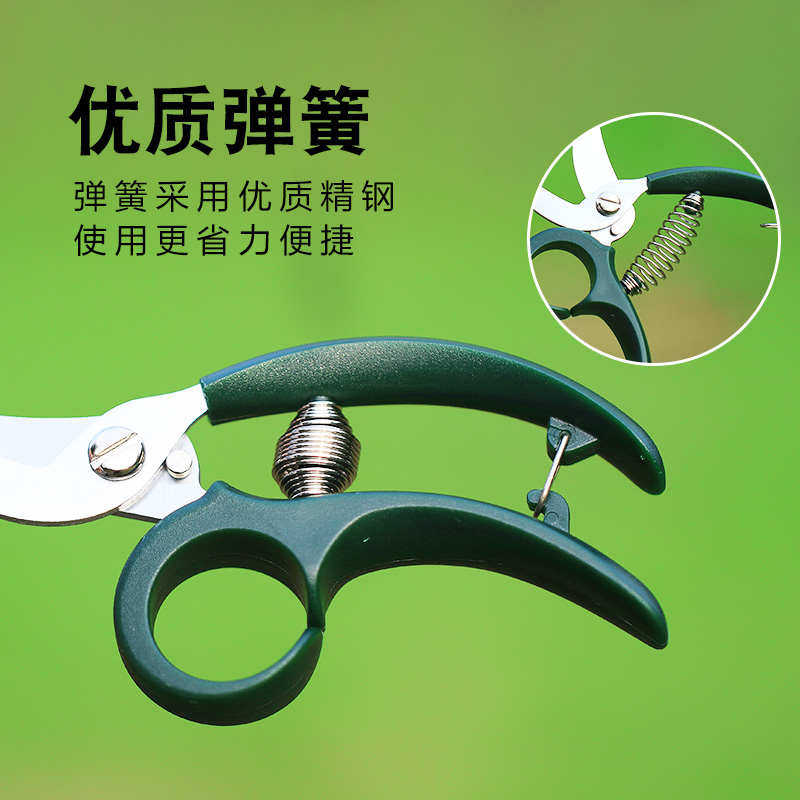 园艺迷你修花小剪刀养花多肉植物枝叶修剪园林修枝剪小花剪