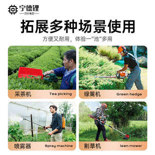 宁德锂电动割草机大功率锂电池绿篱采茶机专用背负式配件大全24V