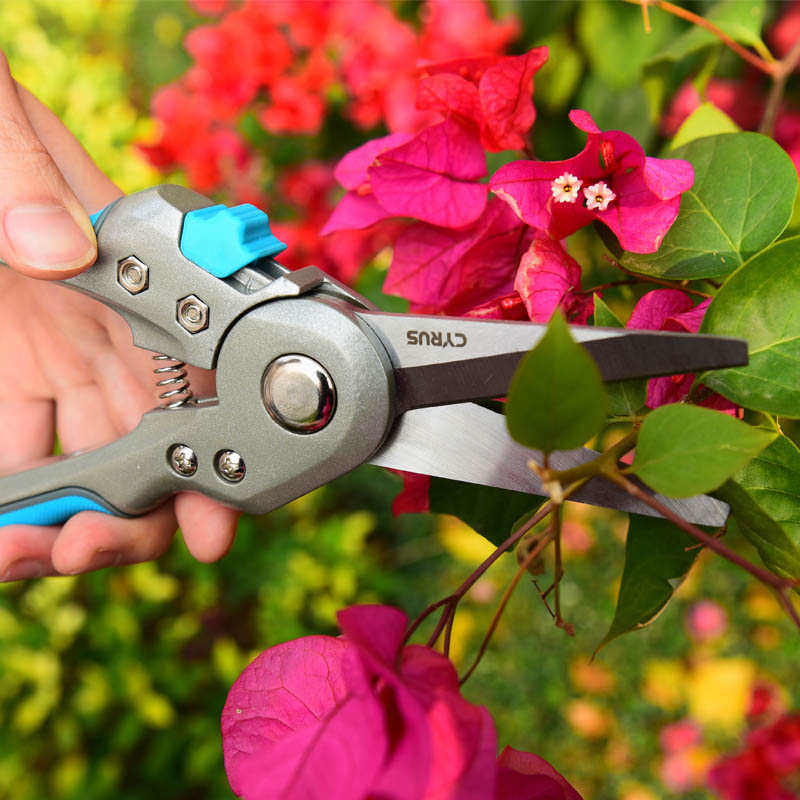 CYRUS赛乐斯修花剪剪刀花园园艺省力高硬度盆景修枝剪-花艺家用