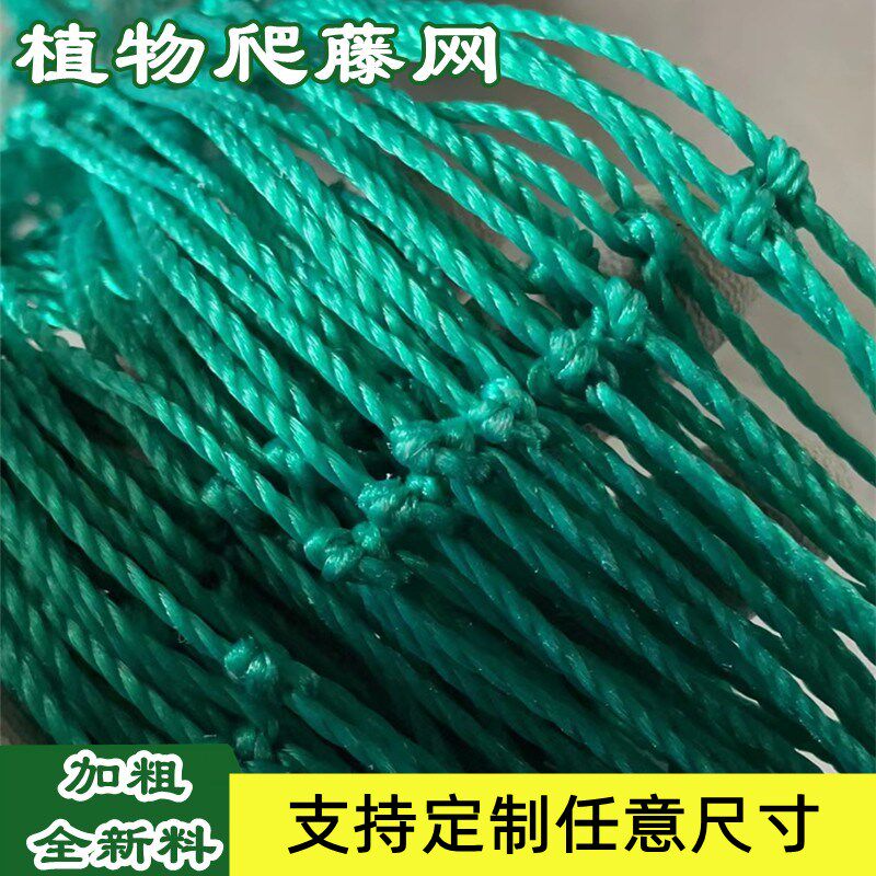 爬藤网种植网葡萄架百香果黄瓜丝瓜植物固定网园艺花卉植物攀爬网