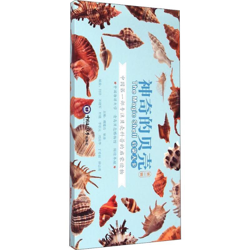 神奇的贝壳 启蒙大卡 第1辑少儿卡片挂图中小学生123456年级初中生一二三青少年儿童正版畅销图书籍