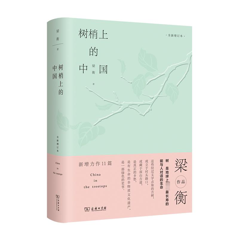 树梢上的中国 全新增订本