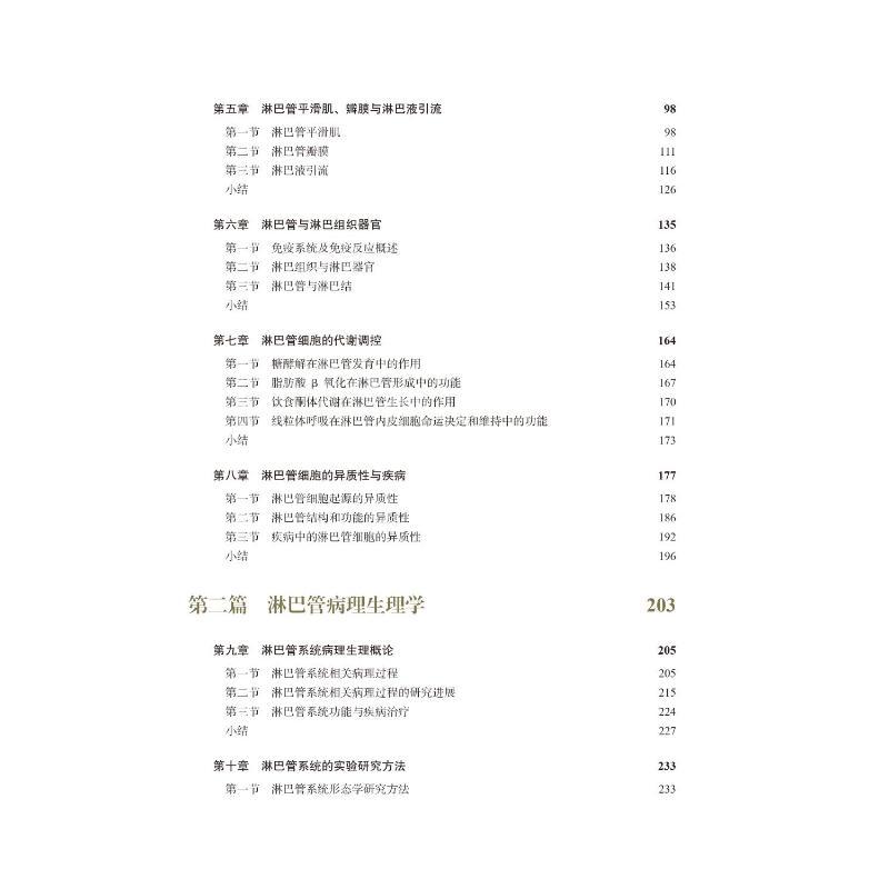 淋巴管生物医学