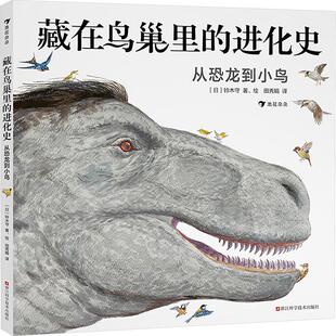 畅销图书籍 从恐龙到小鸟少儿少儿科普23456岁幼儿学龄前儿童亲子共同阅读正版 藏在鸟巢里 进化史