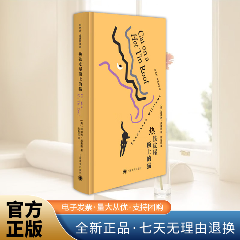 热铁皮屋顶上的猫