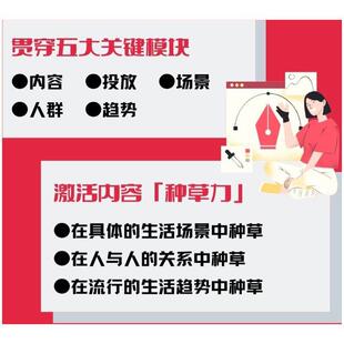 畅销书籍想在小红书上推广产品建立品牌影响力 市场营销经管励志相关正版 企业主或相关业务负 小红书品牌营销完全指南 种草密码