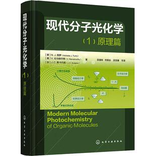 现代分子光化学 (1)原理篇