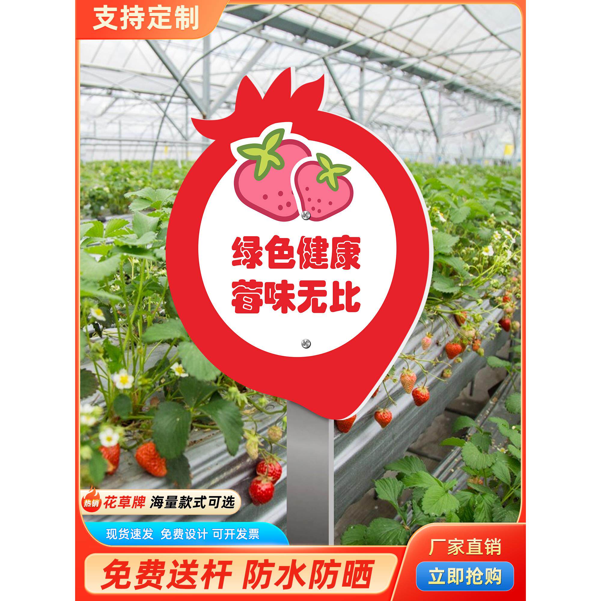 文明采摘草莓大棚果园谢绝品尝标志牌插地标识牌温馨提示牌不锈钢