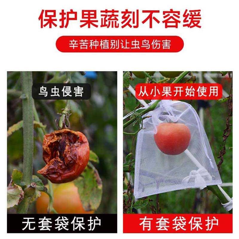热销水果套袋防鸟网纱袋防虫袋果C树无花果葡萄桃子草莓保护袋果