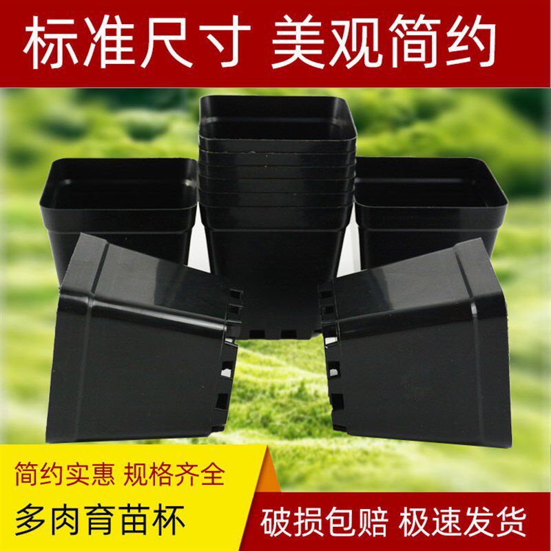 热销方型育苗杯塑料m花盆瓶方型营养杯钵园艺盆栽绿植育苗培植专