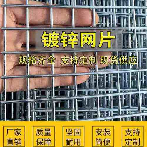 热销小格铁丝网片鸟笼兔笼鸽舍鸽棚D围网镀锌护栏网养殖底网镀锌
