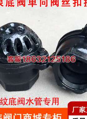 速发H12X-10内螺纹底阀止回阀铸铁吸水阀抽水5底阀D40  056泵 80