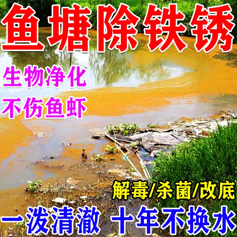 速发毒塘除塘锈水鱼铁水质净化剂净水灵池塘变清水除藻油膜消鱼杀