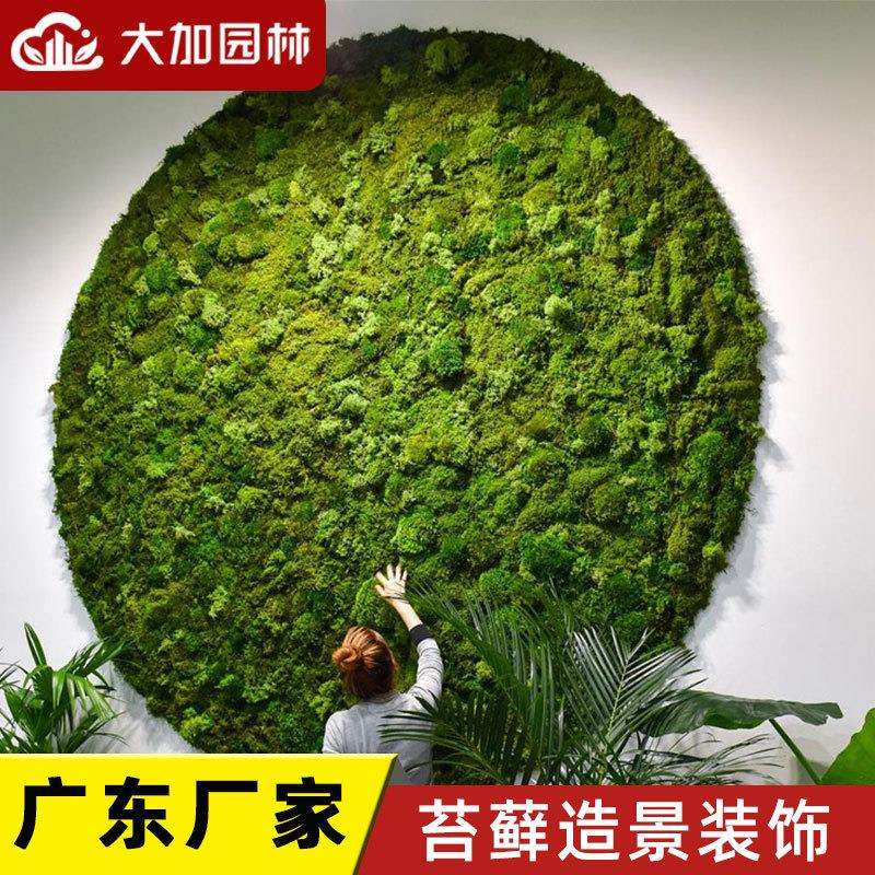 青苔苔藓植物造景永生苔藓植物墙仿真绿植墙装饰材料盒装苔藓