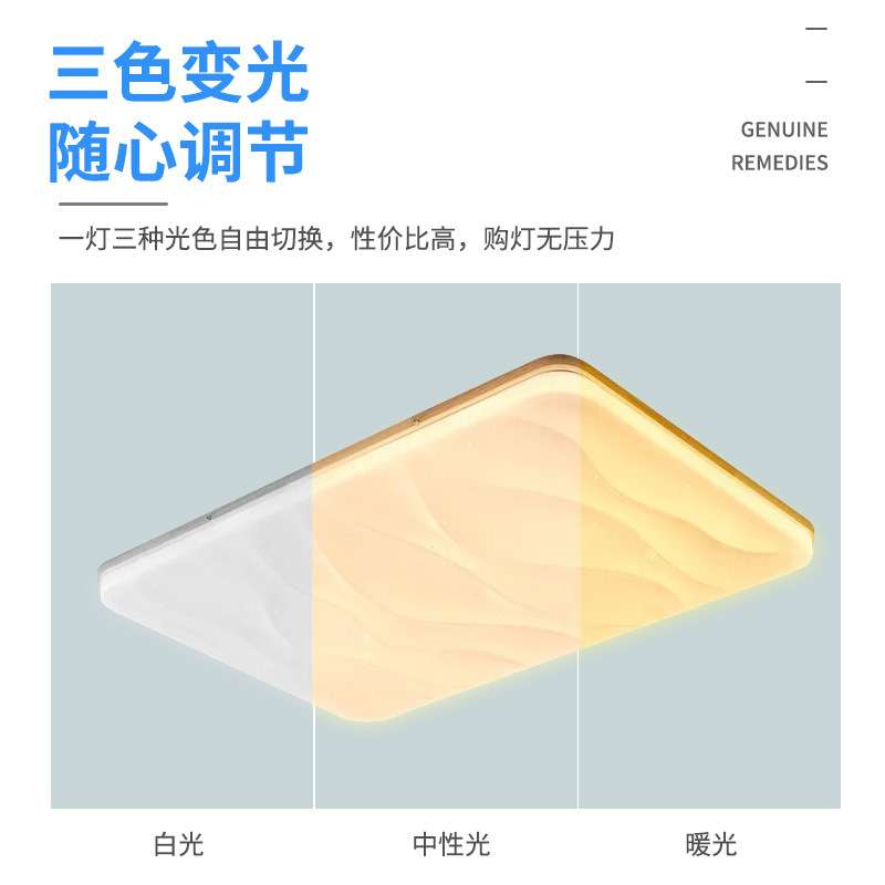 吸顶灯 卧室LED客厅灯长方形简约卧室灯大厅家用阳台灯亮灯具代发