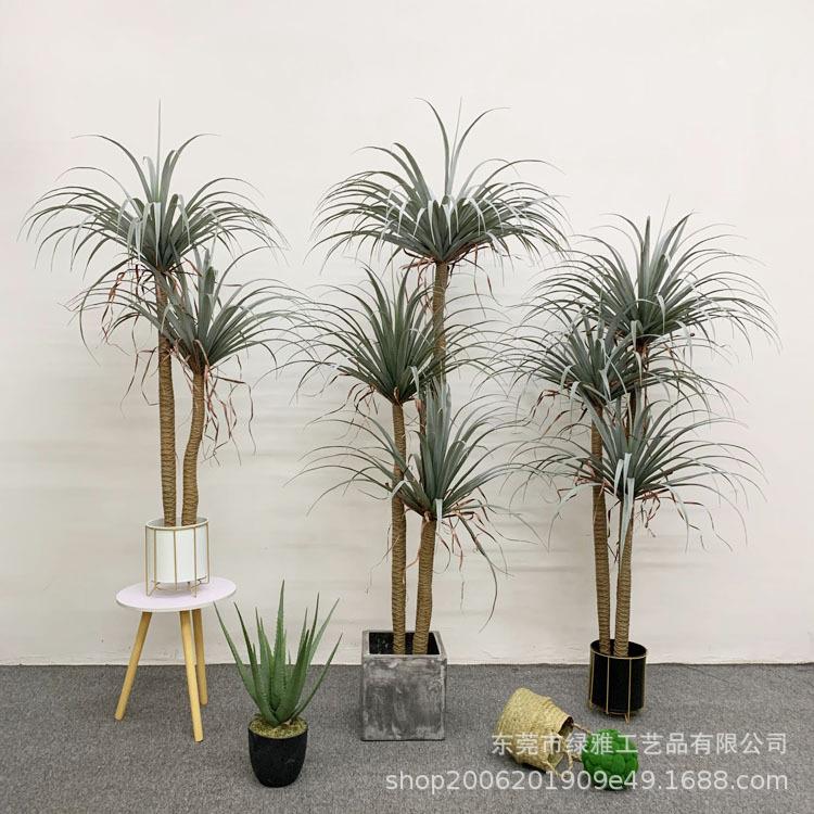 仿真绿植盆栽热带植物仿真龙血树多杆丝兰树落地盆栽摆件橱窗造景