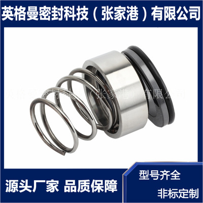 1.4571/1.4571-45导热油泵密封