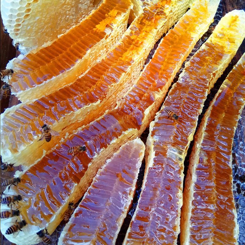 正宗现切整块蜂巢蜜少少蜜嚼着吃盒装纯天然蜂窝蜜新鲜纯正荆条蜜