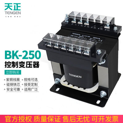 天正BK-250VA单相控制隔离变压器380V变220V 36 24 12 6V铜