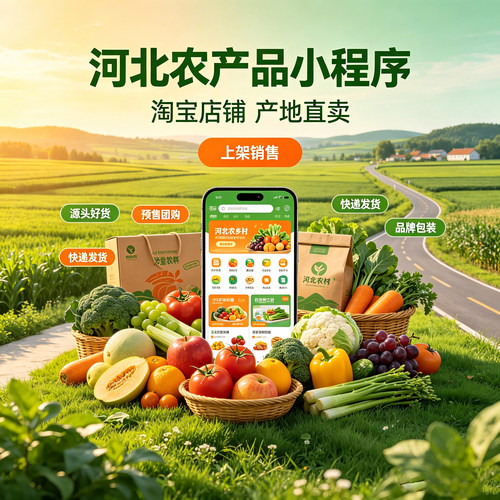 河北小程序多门店餐饮外卖洗车分销商城社区团购分销商城预约报名
