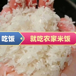 韶关农家新鲜现辗香米晚稻大米10斤高山米无抛光无打腊软香好吃米