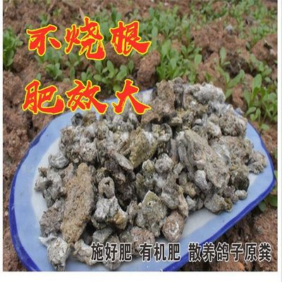 现货发酵鸽子粪肥干鸽粪农家肥鸟粪肥料生物机有水果树种花散装种