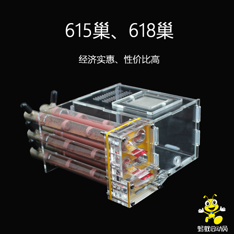 直供615试管巢 618巢压克力蚂蚁竹节试管抖音世界工坊部落牧场总