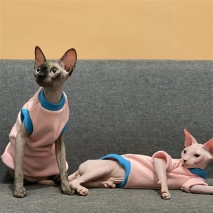 极速斯芬克斯无毛猫衣服厚冬季加绒弹力潮K保暖柔软阿比德文猫衣