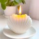 Shell Candle Mold 极速DIY Aromatherapy PlTaster